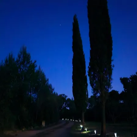 Semesterbostad Le Mazet De Papi En Garrigue *