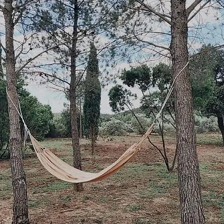 Casa de Férias Le Mazet De Papi En Garrigue *