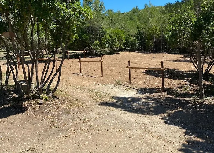 Casa vacanze Le Mazet De Papi En Garrigue *